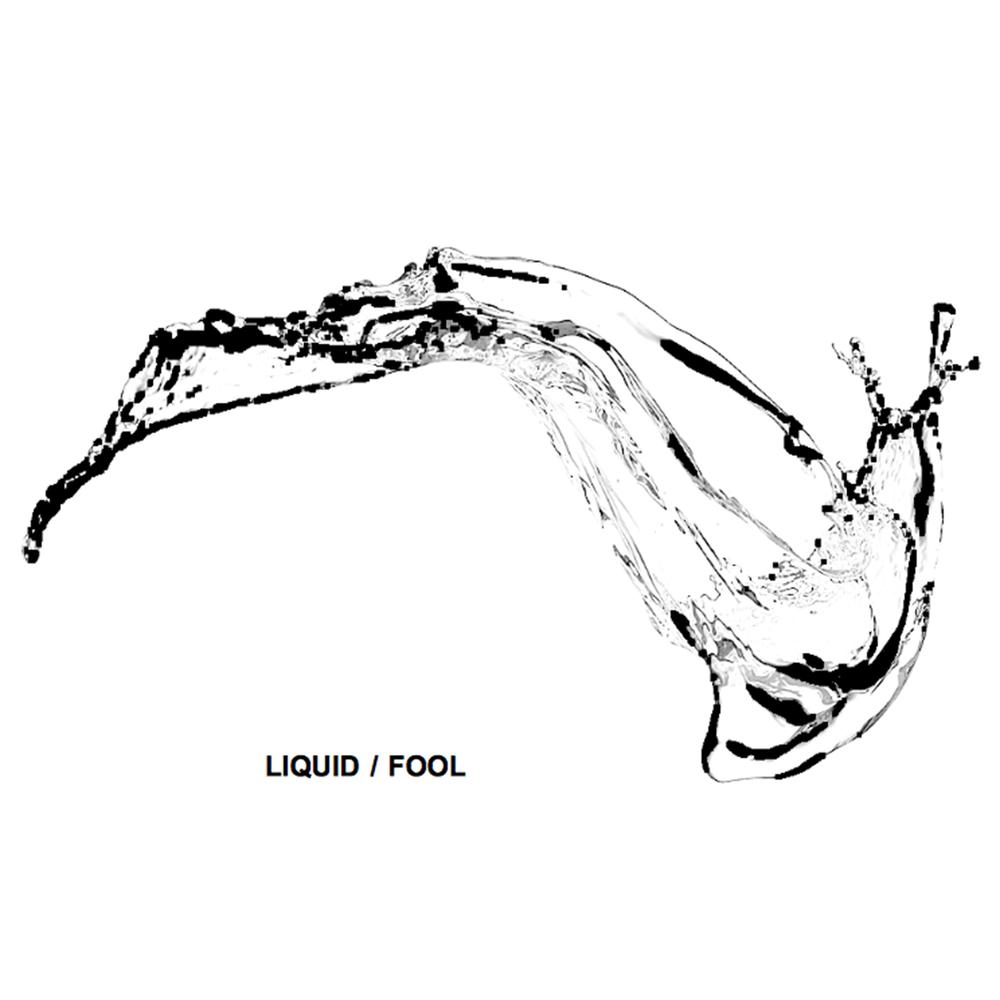 Fool
