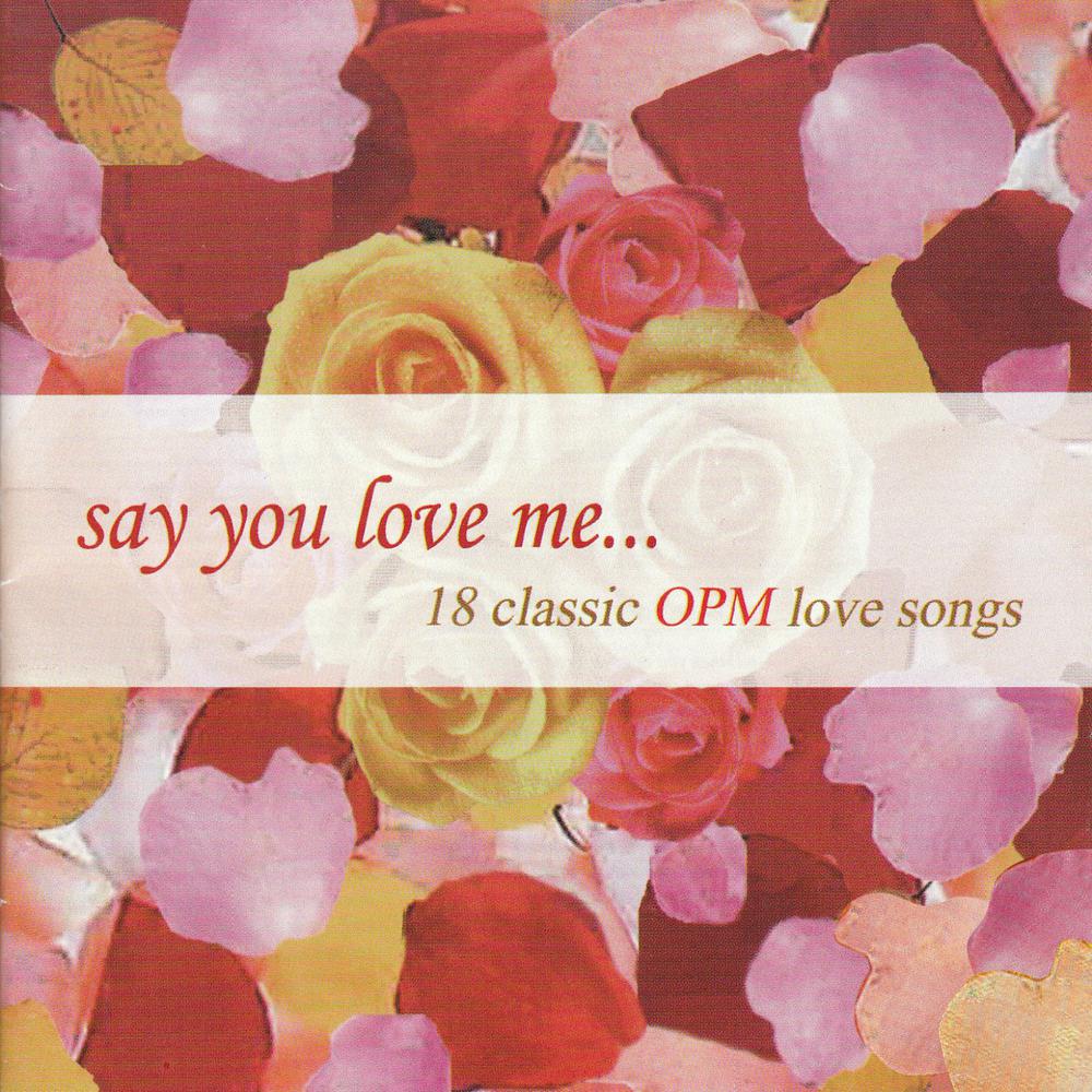 I Don't Love You Anymore