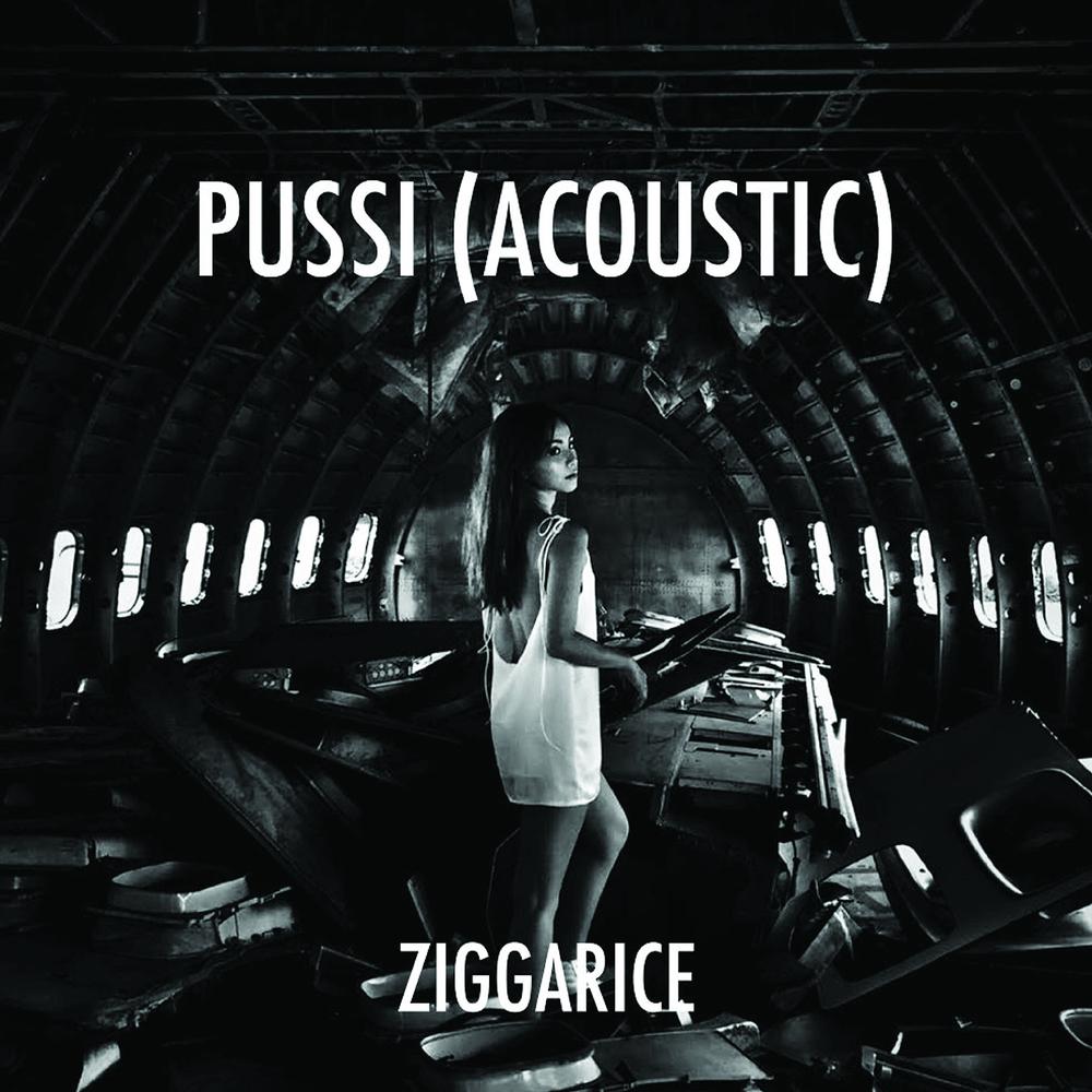 Pussi (Acoustic Version) (Acoustic Version|Explicit)
