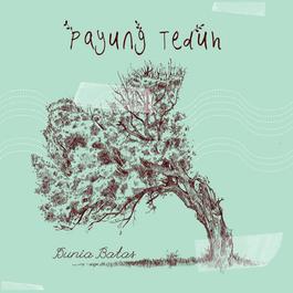 Angin Pujaan Hujan 2014 Payung Teduh Angin Pujaan Hujan 2014 Payung Teduh