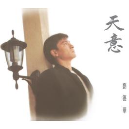該說的我已說 1994 刘德华 該說的我已說 1994 刘德华