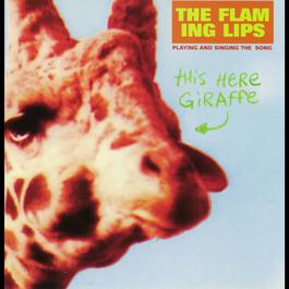 Hit Me Like You Did The First Time (Live Peel Session Version) 2003 The Flaming Lips Hit Me Like You Did The First Time (Live Peel Session Version) 2003 The Flaming Lips