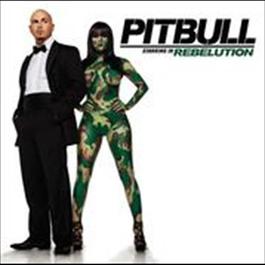 Hotel Room Service 2009 Pitbull Hotel Room Service 2009 Pitbull
