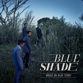 ฉันเลือกเอง 2015 Blue Shade ฉันเลือกเอง 2015 Blue Shade