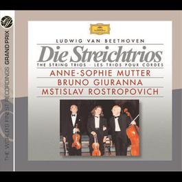 Beethoven:The String Trios 1997 Various Artists Beethoven:The String Trios 1997 Various Artists