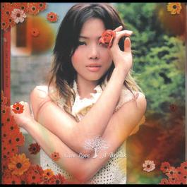 男朋友與歌 2004 Joey Yung 男朋友與歌 2004 Joey Yung