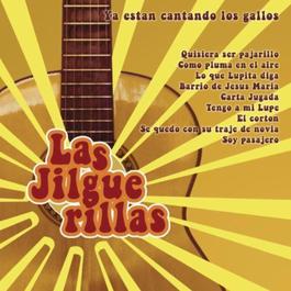 Tesoros De Coleccion / 3 Discos Originales De Las Jilguerillas 2011 Las Jilguerillas Tesoros De Coleccion / 3 Discos Originales De Las Jilguerillas 2011 Las Jilguerillas