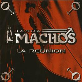 Mi luna, mi estrella (a duo con Laura Flores) 2004 Banda Machos Mi luna, mi estrella (a duo con Laura Flores) 2004 Banda Machos