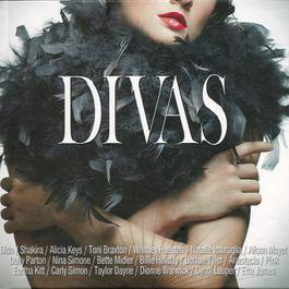 Damn I Wish I Was Your Lover 2012 Sophie B.Hawkins Damn I Wish I Was Your Lover 2012 Sophie B.Hawkins