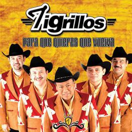 Para que quieres que vuelva 2004 Los Tigrillos Para que quieres que vuelva 2004 Los Tigrillos