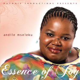 The Essence Of Joy 2008 Andile Mseleku The Essence Of Joy 2008 Andile Mseleku