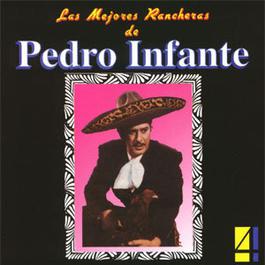 Tú Recuerdo y Yo 2002 Pedro Infante Tú Recuerdo y Yo 2002 Pedro Infante