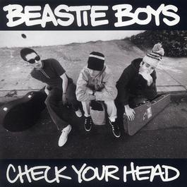 Professor Booty 2004 Beastie Boys Professor Booty 2004 Beastie Boys