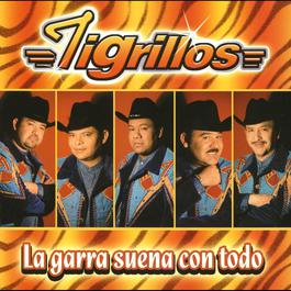 La negra candelosa 2003 Los Tigrillos La negra candelosa 2003 Los Tigrillos