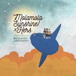 ฉันน่าจะบอกรักไป...ในวันที่เธอบอกรักมา Feat. Hers 2016 Mola mola Sunshine!; Hers ฉันน่าจะบอกรักไป...ในวันที่เธอบอกรักมา Feat. Hers 2016 Mola mola Sunshine!; Hers