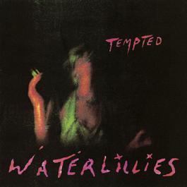 Work It Out (Album Version) 1994 Waterlillies Work It Out (Album Version) 1994 Waterlillies