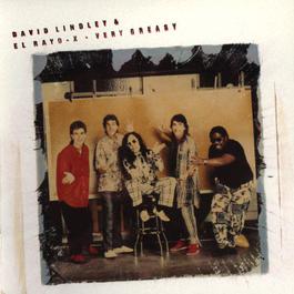 Never Knew Her (LP Version) 1988 David Lindley Never Knew Her (LP Version) 1988 David Lindley