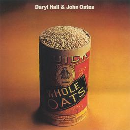 Waterwheel 2009 Daryl Hall And John Oates Waterwheel 2009 Daryl Hall And John Oates