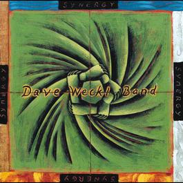 Synergy 1999 Dave Weckl Band Synergy 1999 Dave Weckl Band