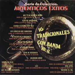 Ser. de Col. Aut. Exts. 16 Tradicionales Con Banda Vol. II 2003 Various Artists Ser. de Col. Aut. Exts. 16 Tradicionales Con Banda Vol. II 2003 Various Artists