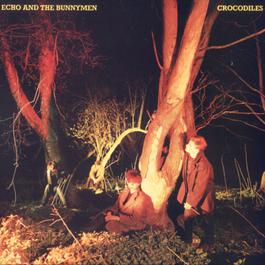Villiers Terrace 1980 Echo & The Bunnymen Villiers Terrace 1980 Echo & The Bunnymen