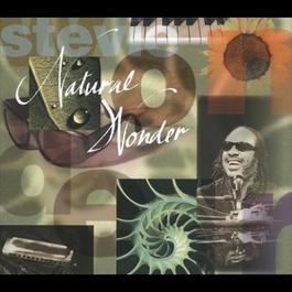 Higher Ground 1996 Stevie Wonder Higher Ground 1996 Stevie Wonder