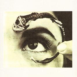 Chemical Marriage (Album Version) 1995 Mr.Bungle Chemical Marriage (Album Version) 1995 Mr.Bungle
