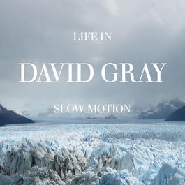 Alibi (Album Version) 2005 David Gray Alibi (Album Version) 2005 David Gray