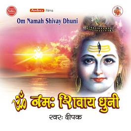 Om Namah Shivay Dhuni