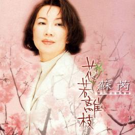 试了搁再试 1997 Julie Su 试了搁再试 1997 Julie Su