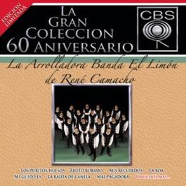 La Gran Coleccion Del 60 Aniversario CBS - La Arrolladora Banda El Limon De Rene Camacho 2008 La Arrolladora Banda El Limón De Rene Camacho La Gran Coleccion Del 60 Aniversario CBS - La Arrolladora Banda El Limon De Rene Camacho 2008 La Arrolladora Banda El Limón De Rene Camacho