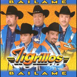 Sabado en la noche 2002 Los Tigrillos Sabado en la noche 2002 Los Tigrillos