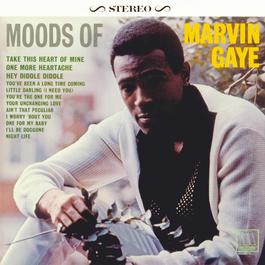 Moods Of Marvin Gaye 2004 Marvin Gaye Moods Of Marvin Gaye 2004 Marvin Gaye