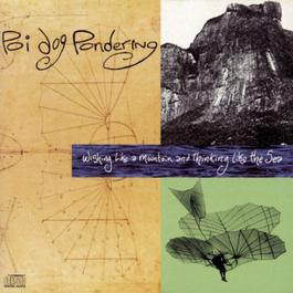 WISHING LIKE A MOUNTAIN AND THINKING LIKE THE SEA 1990 Poi Dog Pondering WISHING LIKE A MOUNTAIN AND THINKING LIKE THE SEA 1990 Poi Dog Pondering