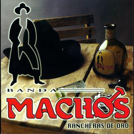 Ingratos ojos míos 2004 Banda Machos Ingratos ojos míos 2004 Banda Machos