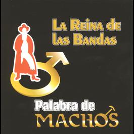 Se solicita un cariño 2010 Banda Machos Se solicita un cariño 2010 Banda Machos