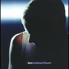 At Last 2000 Hothouse Flowers At Last 2000 Hothouse Flowers