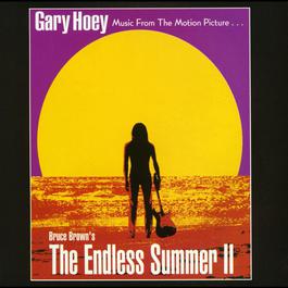 Pipe (Album Version) 1994 Gary Hoey Pipe (Album Version) 1994 Gary Hoey
