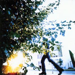 Player Piano 1997 Seven Mary Three Player Piano 1997 Seven Mary Three