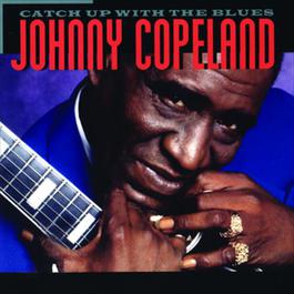 Catch Up With The Blues 1993 Johnny Copeland Catch Up With The Blues 1993 Johnny Copeland