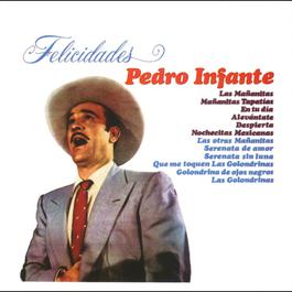 Golondrina de ojos negros 2001 Pedro Infante Golondrina de ojos negros 2001 Pedro Infante
