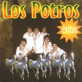 El novillo despuntado 2002 Los Potros El novillo despuntado 2002 Los Potros
