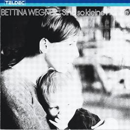 Schlaflied 1987 Bettina Wegner Schlaflied 1987 Bettina Wegner
