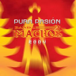 Cuando estes con él 2004 Banda Machos Cuando estes con él 2004 Banda Machos