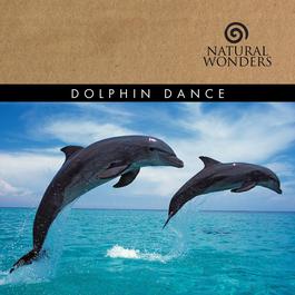 Dolphin Dance 2006 Brian Hardin Dolphin Dance 2006 Brian Hardin