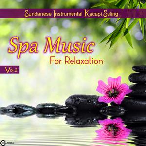 Spa Music for Relaxation, Vol. 2 dari Endang Sukandar