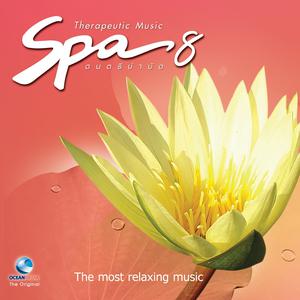 Album Spa Music ดนตรีบำบัด, Vol. 8 from สมานย์ น้อยนิตย์