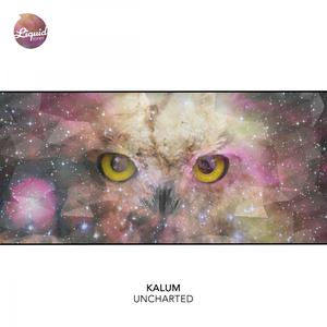 Listen to Uncharted song with lyrics from Kalum