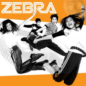 ดาวน์โหลดและฟังเพลง สิ่งเดียวที่พอจะทำ พร้อมเนื้อเพลงจาก ZEBRA