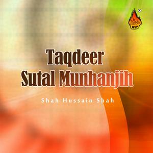 Dengarkan Wariyo Wah Watan Thei lagu dari Shah Hussain Shah dengan lirik
